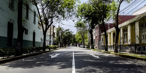 Rua arborizada